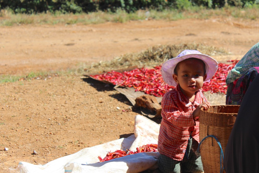 Fille famille piment