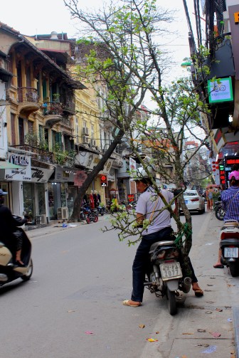 transporte ton arbre